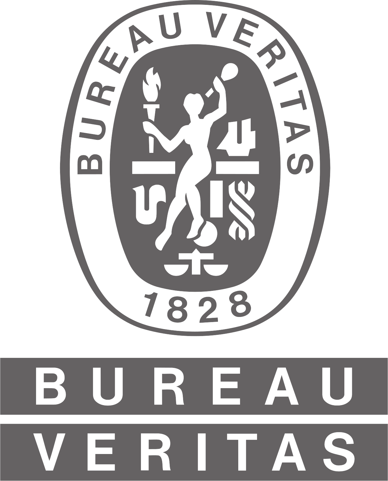 Bureau Veritas Singapore Pte Ltd logo